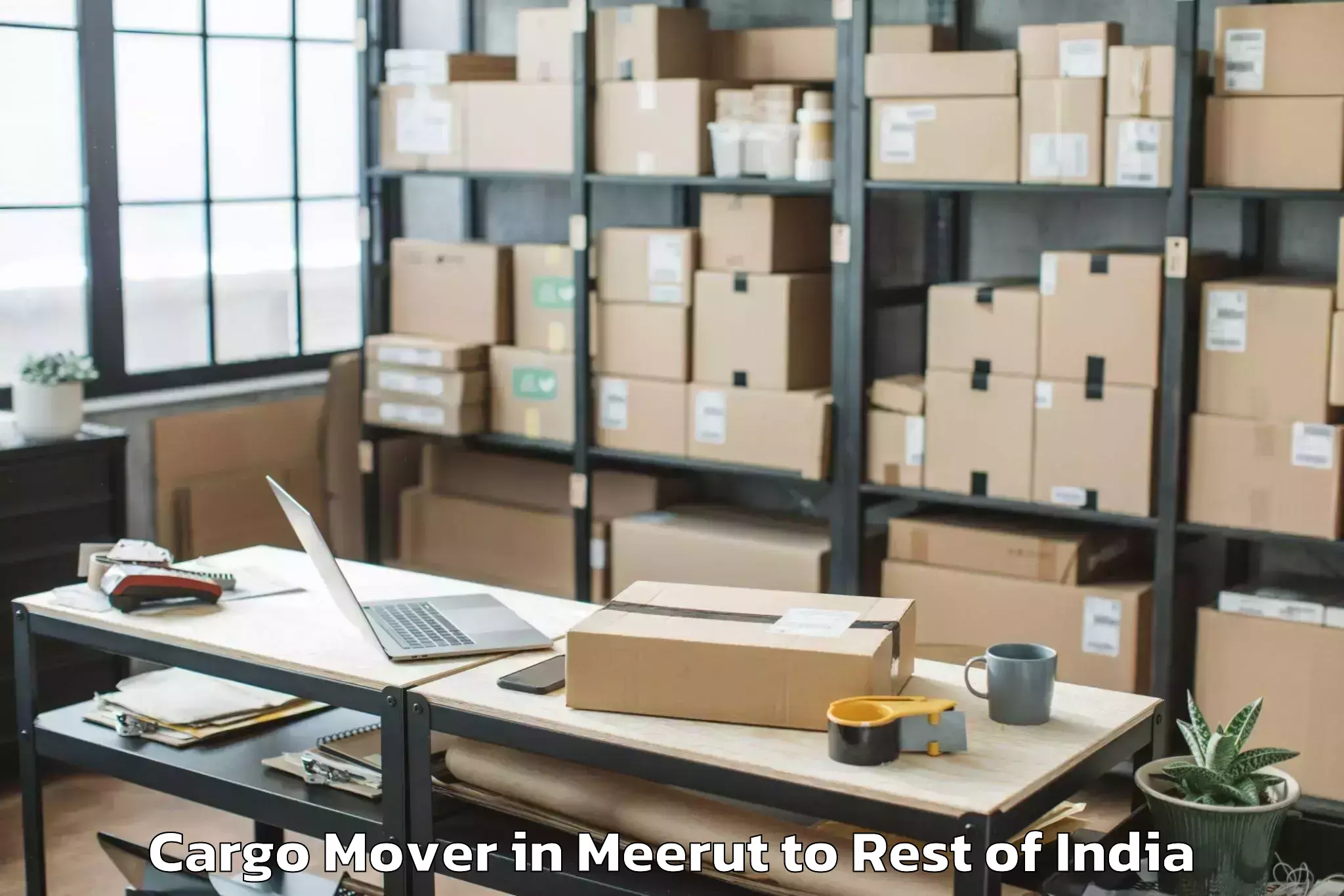 Top Meerut to Rebo Perging Cargo Mover Available